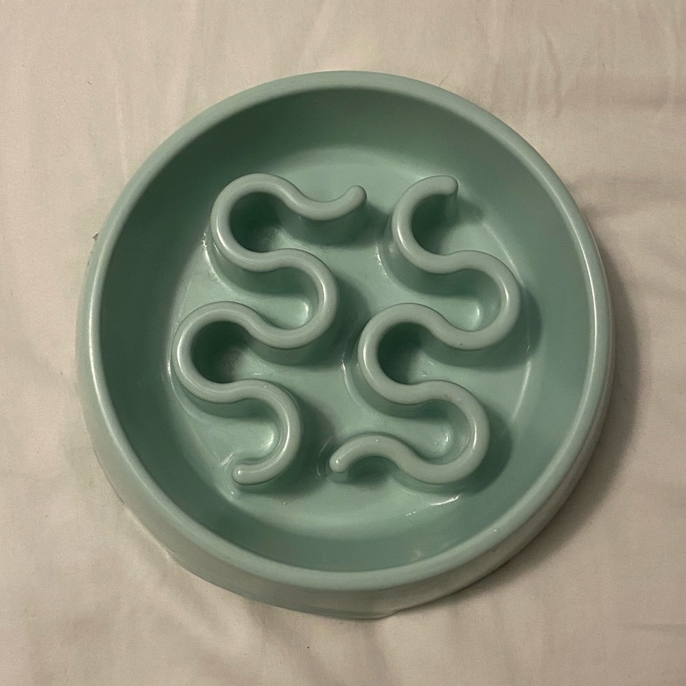Slow Feeder Dog Bowl